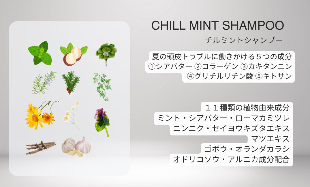 CHILL MINT SHAMPOO/チルミントシャンプー