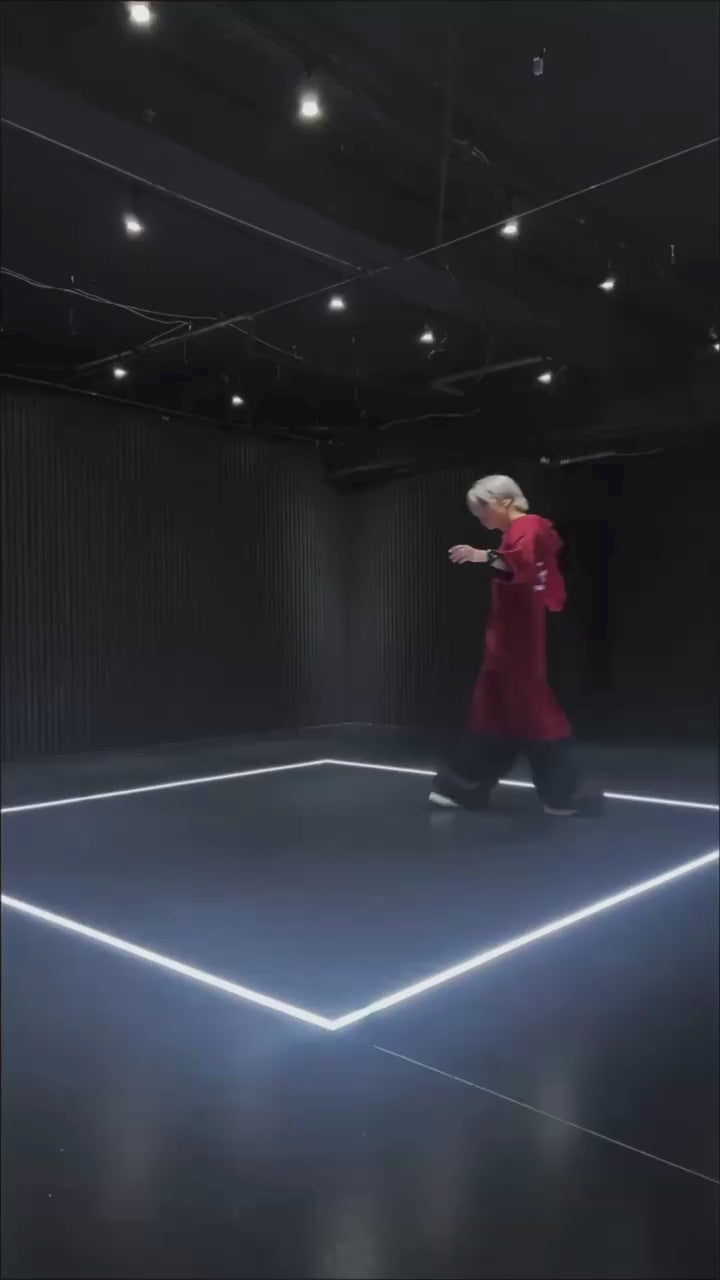 動画を読み込む: 