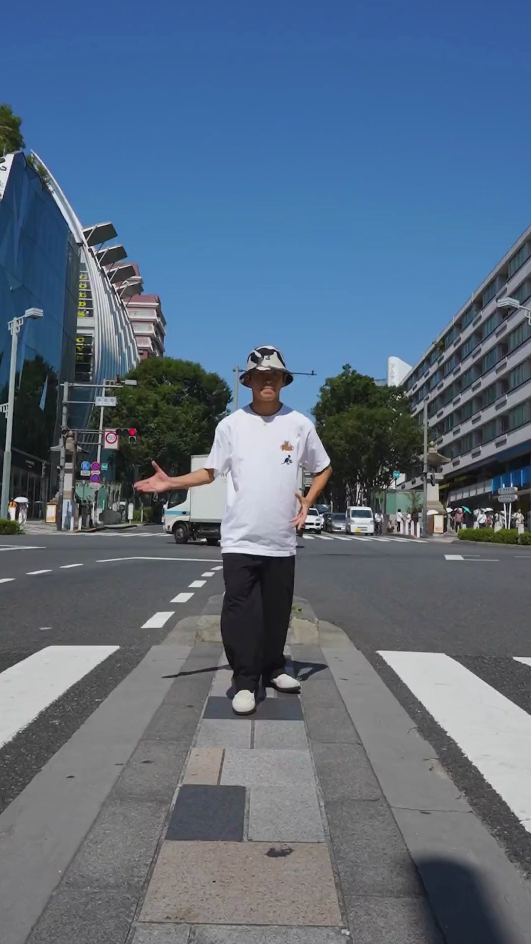 動画を読み込む: 