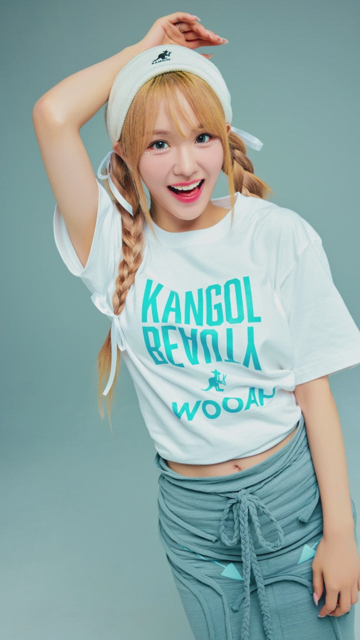 動画を読み込む: 