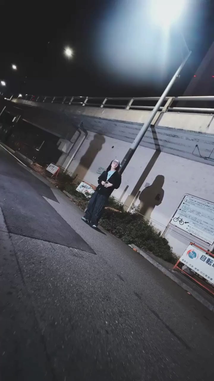 動画を読み込む: 